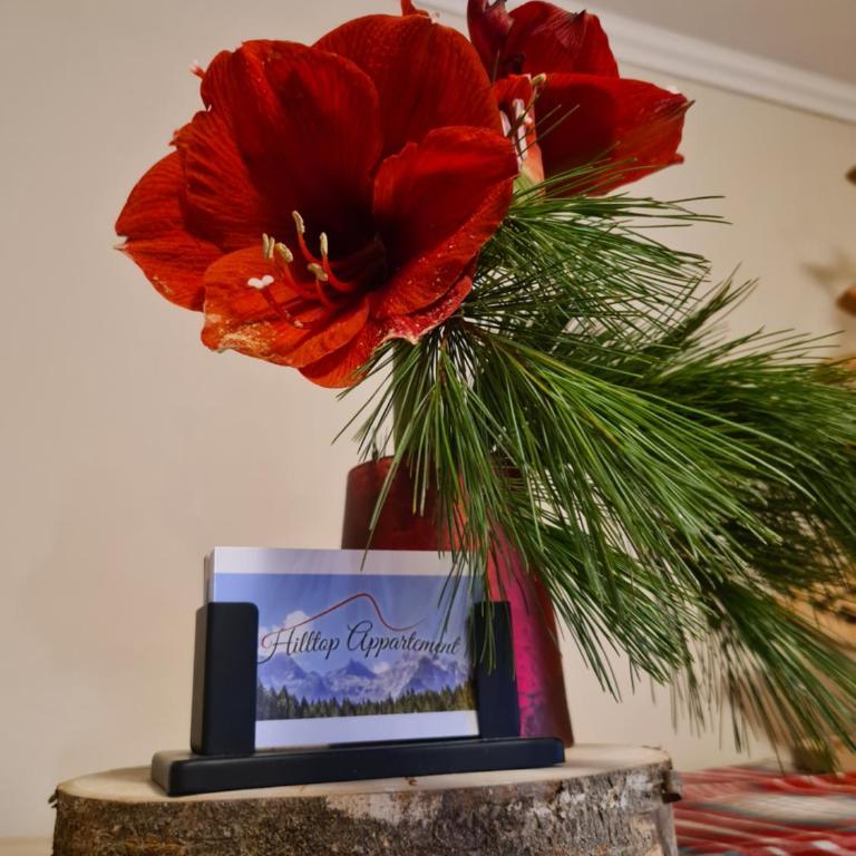 Hilltop Appartement - Apartamento - 35