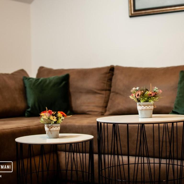 Apartmani Džanković - One-Bedroom Apartment - 14