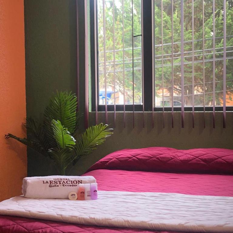 La Estación Hostal - Habitación Individual - 4