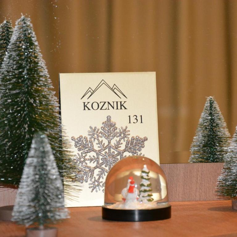 Apartman SREBRNA PAHULjA-Konaci - Studio - 10