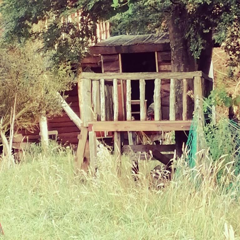 La Ranchita de Queilen - Vacation Home - 5