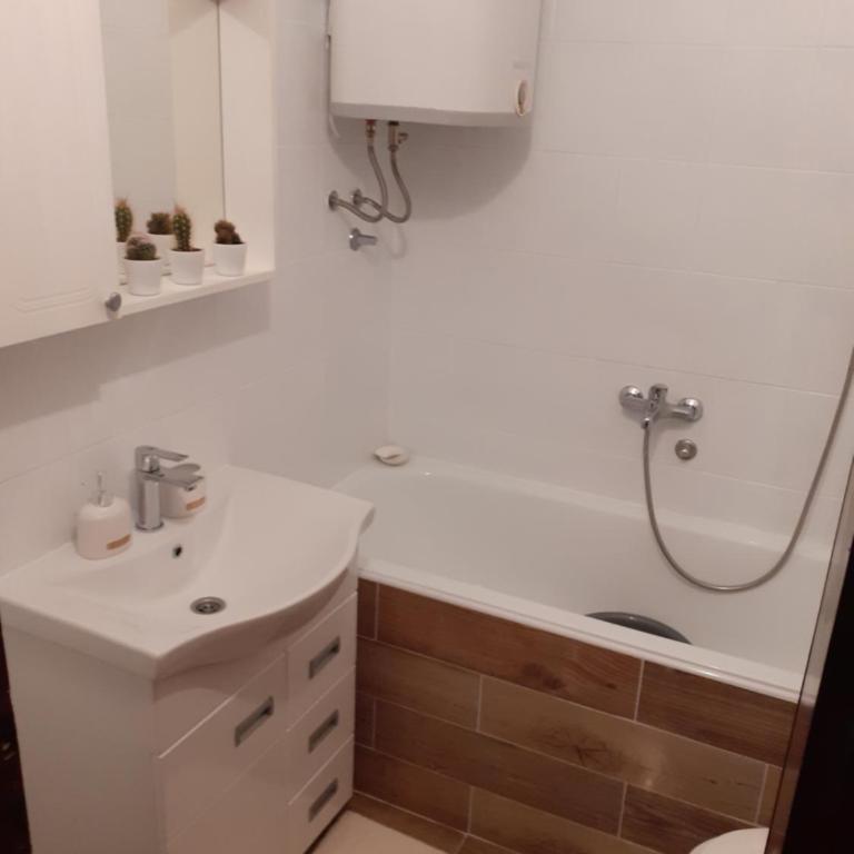 APARTMAN BOJANA - One-Bedroom Apartment - 13