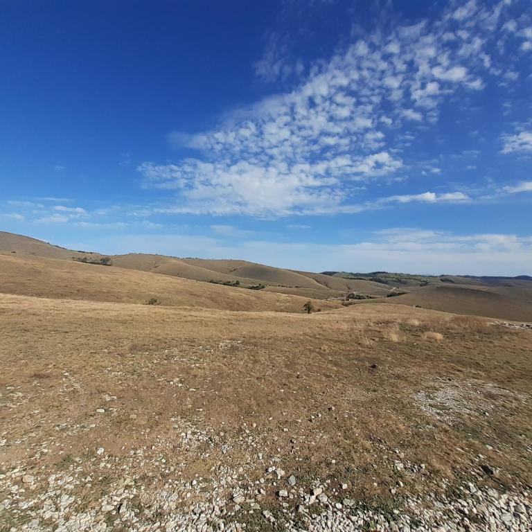 APARTMAN BOJANA - One-Bedroom Apartment - 23