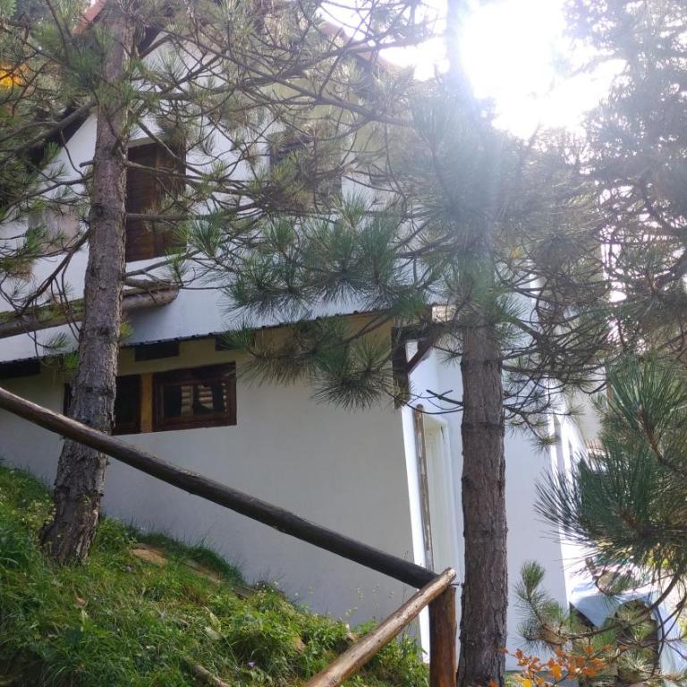 Uki & Sofi mountain house - Duplex Suite - 49
