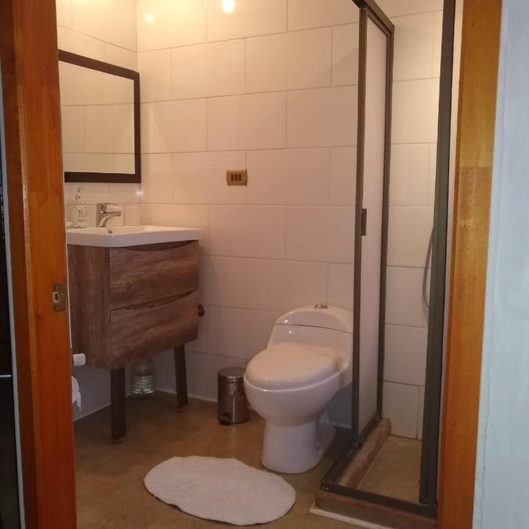 Willy's Country Club Cauquenes - Suite con terraza - 4