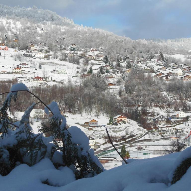 Hameau des chaumes vue panoramique - Apartamento de 1 dormitorio - 27