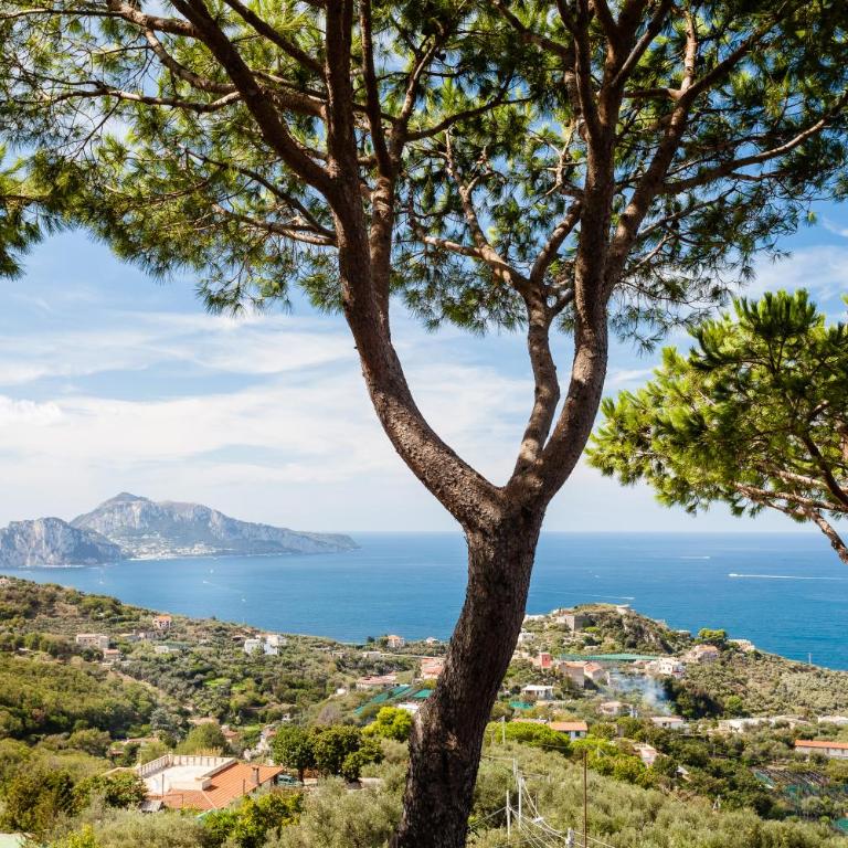 Villa Sole di Capri - Vista Mare - Villa con Vista Mare - 55