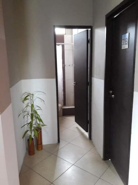 Hostal Casa Taisha - Apartamento Suite - 11