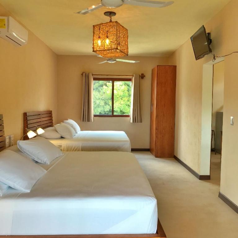Hotel Sur Bacalar - Suite Junior con terraza - 3