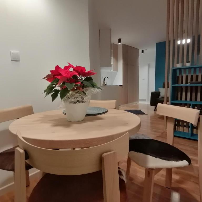 CENTRALA Jahorina - One-Bedroom Apartment - 13