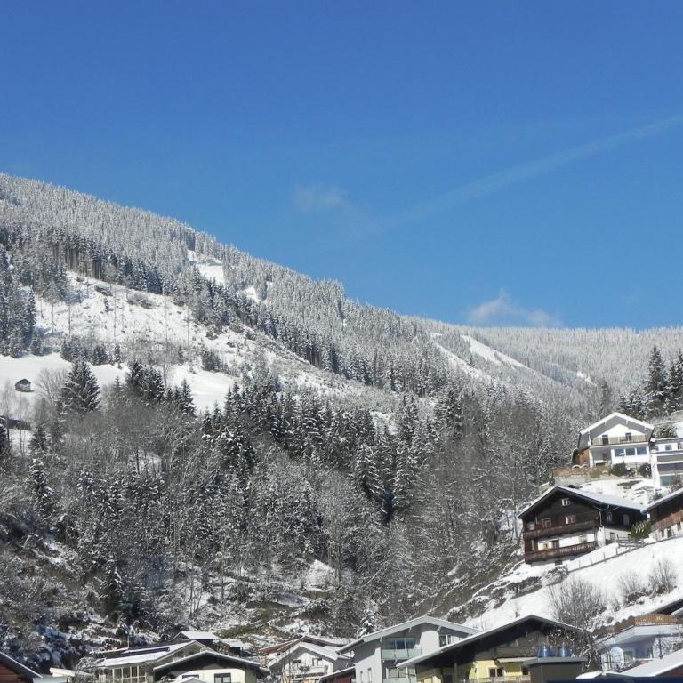 Apartments Chalet Sonnentanz - Apartment mit 3 Schlafzimmern und Balkon - 1