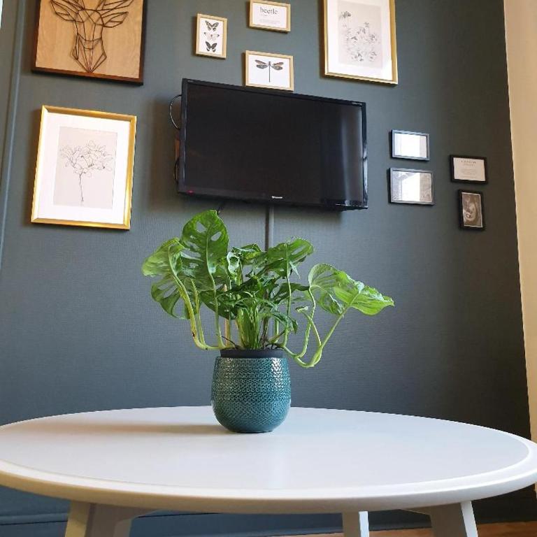 Superbe T2 de 45m² en hyper centre - Apartamento Superior - 5