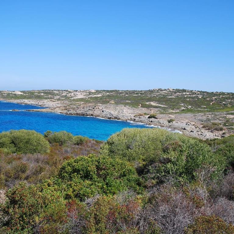 Casa Sol location de vacances indépendante à Calvi moins de 2km plage - Maison de Vacances - 23