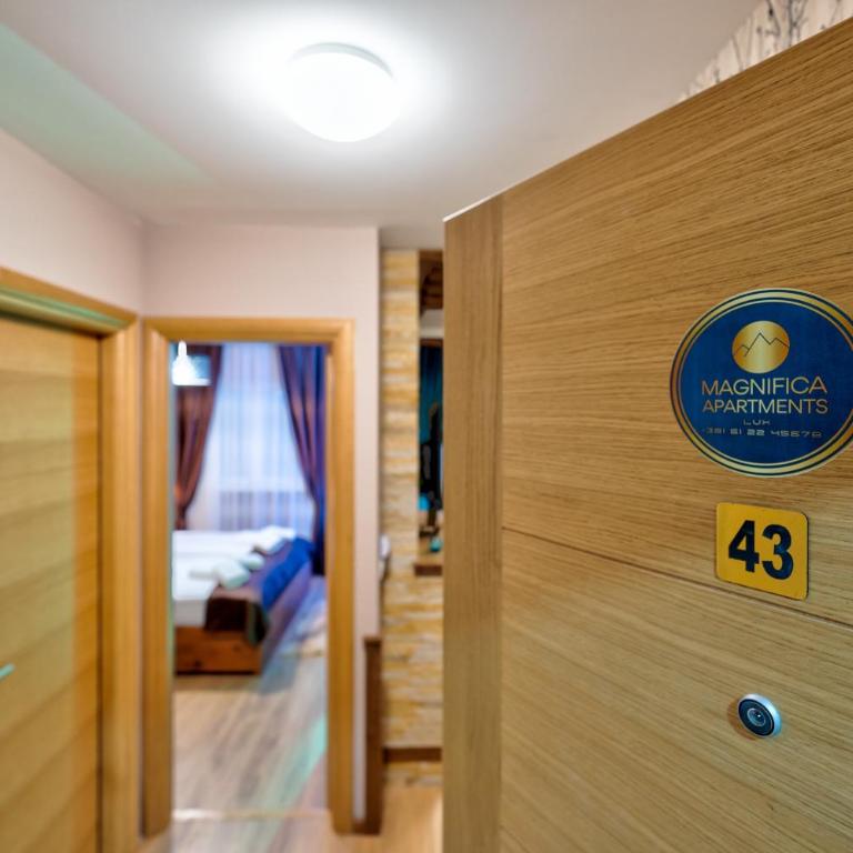 Magnifica Apartments Lux Gondola - One-Bedroom Apartment - 2