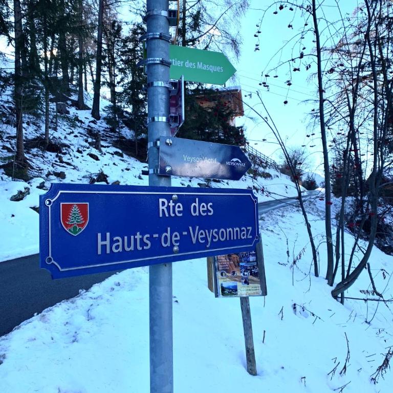Ski-In, Ski-Out 4, Veysonnaz - Apartment mit 3 Schlafzimmern - 31