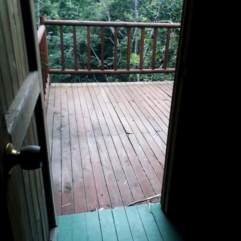 Miradores Del Oso Perezoso - Bungalow - 3