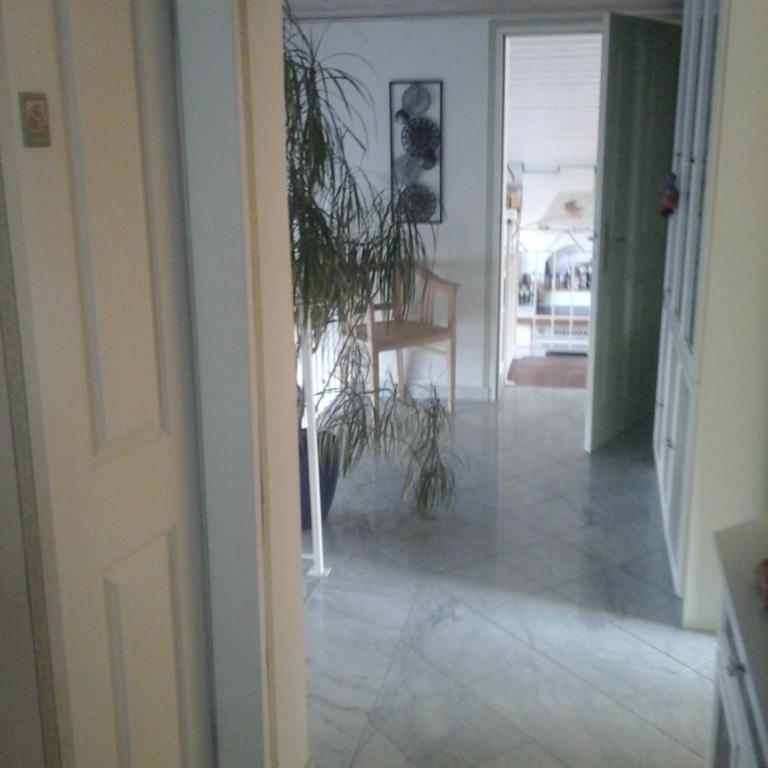 Appartment Andrea - Apartment - 21