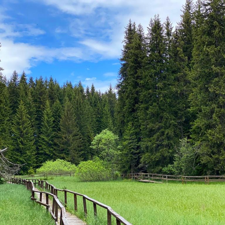 Apartman NERA - u Kraljevim čardacima Kopaonik - Deluks Studio Apartman sa Terasom - 20