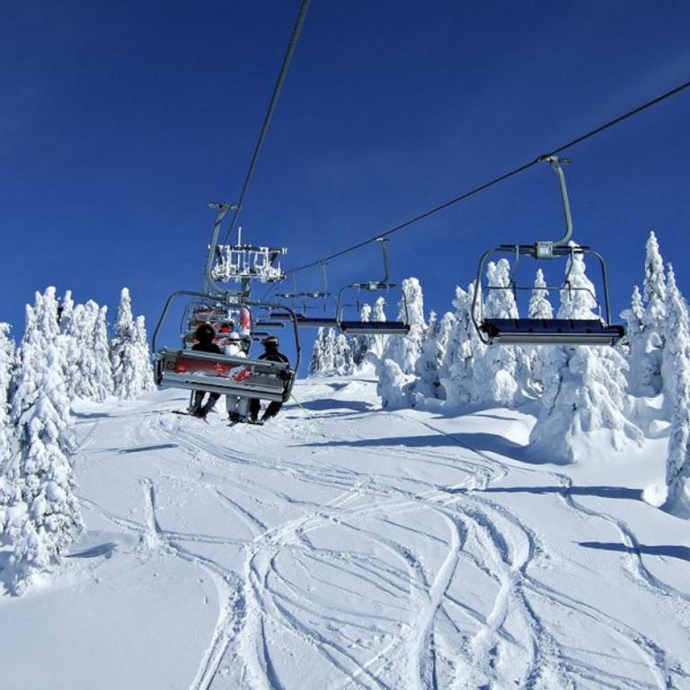 Apartman NERA - u Kraljevim čardacima Kopaonik - Deluks Studio Apartman sa Terasom - 28