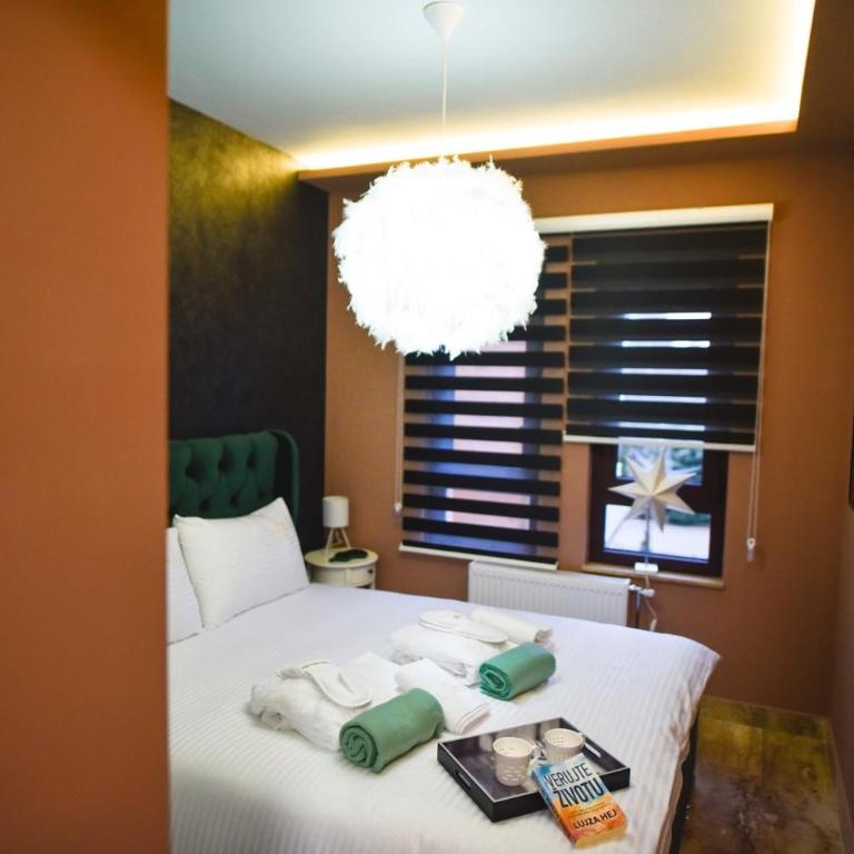 Viking Gold 2 - One-Bedroom Apartment - 13