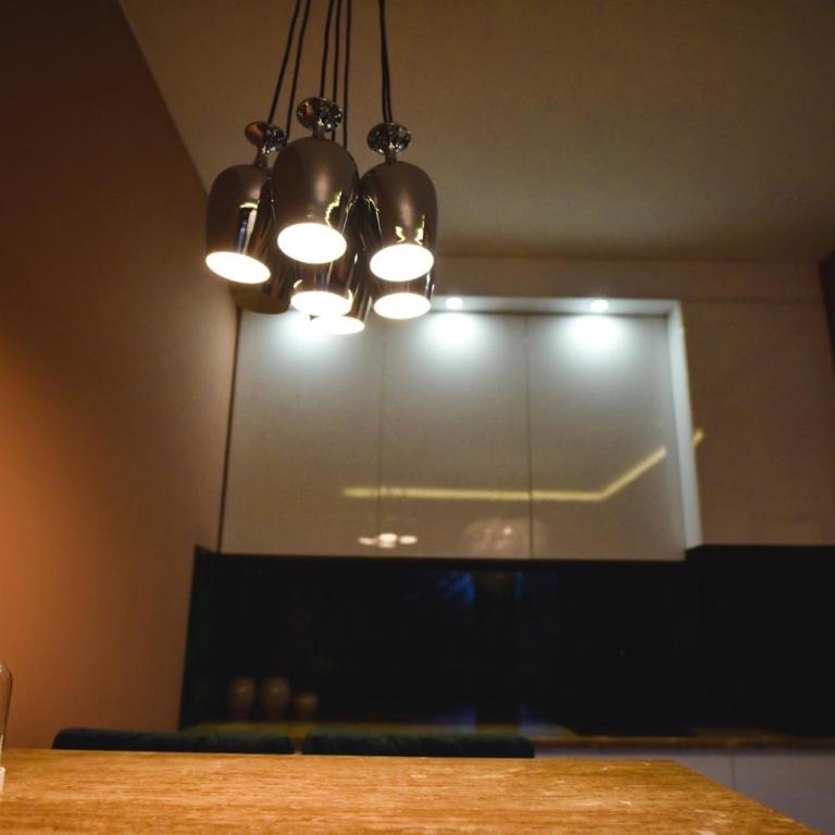 Viking Gold 2 - One-Bedroom Apartment - 20