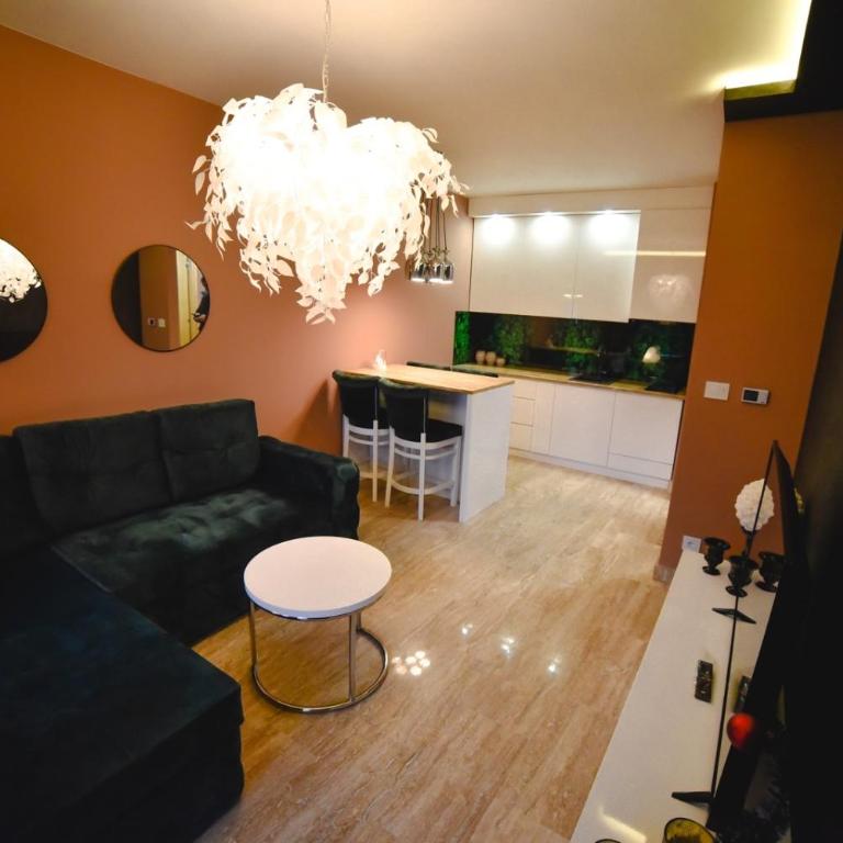 Viking Gold 2 - One-Bedroom Apartment - 24