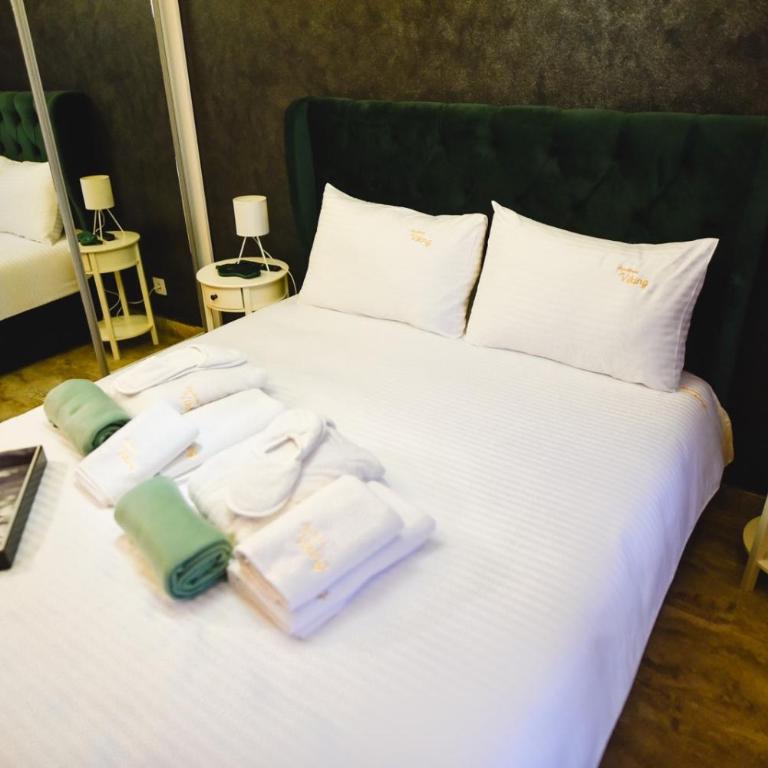 Viking Gold 2 - One-Bedroom Apartment - 25