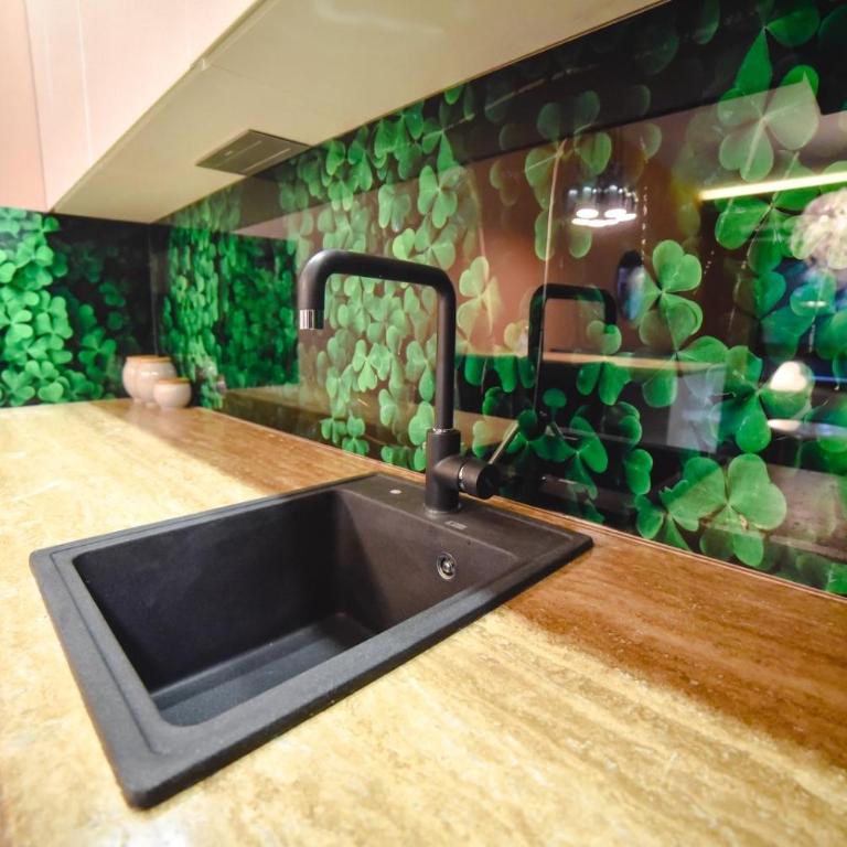 Viking Gold 2 - One-Bedroom Apartment - 27