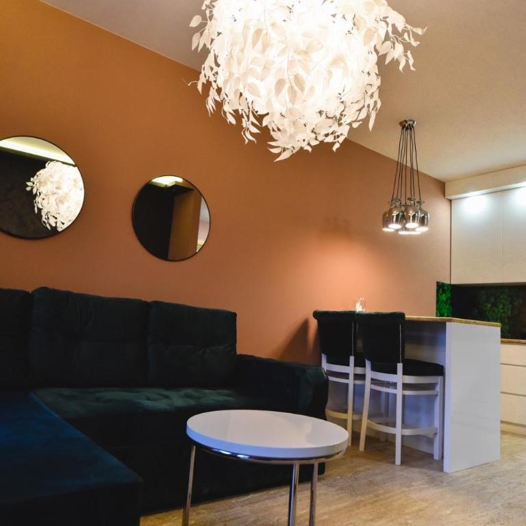 Viking Gold 2 - One-Bedroom Apartment - 28