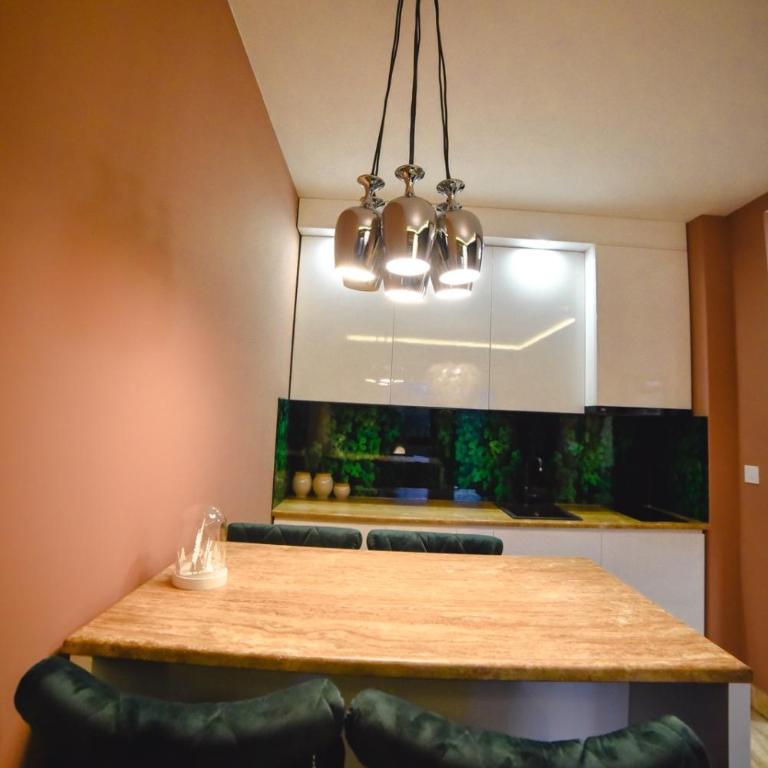 Viking Gold 2 - One-Bedroom Apartment - 29