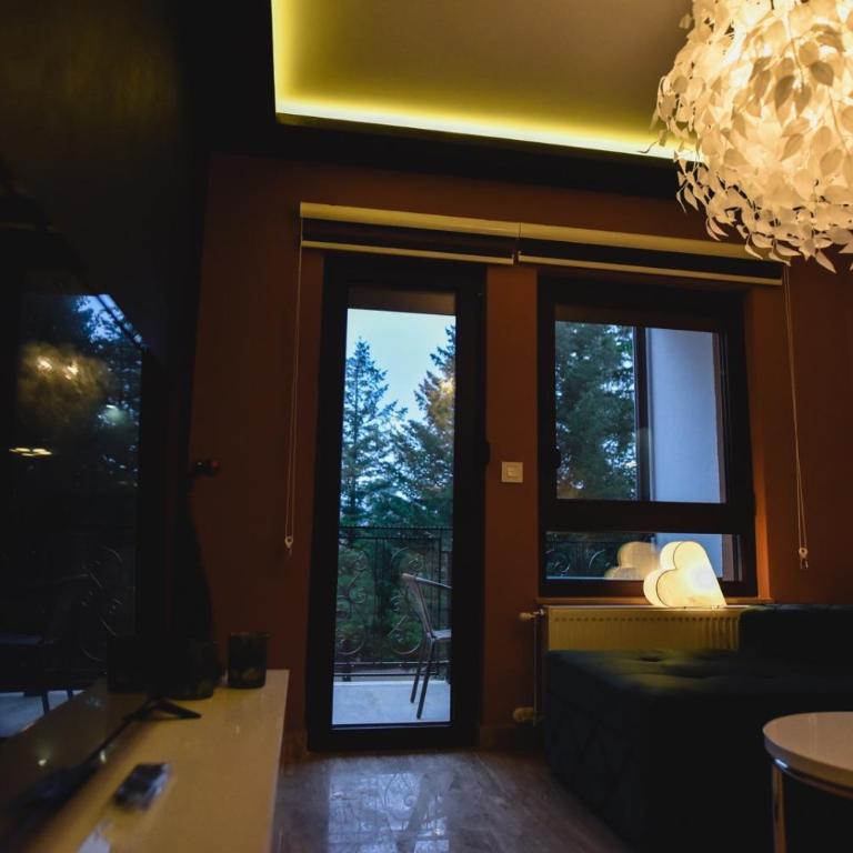 Viking Gold 2 - One-Bedroom Apartment - 30