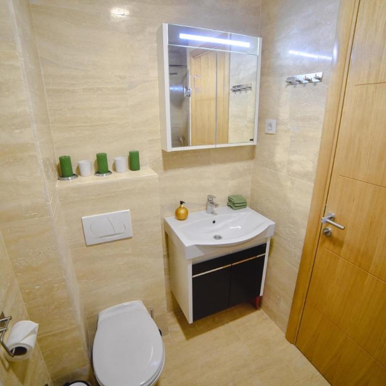 Viking Gold 2 - One-Bedroom Apartment - 31