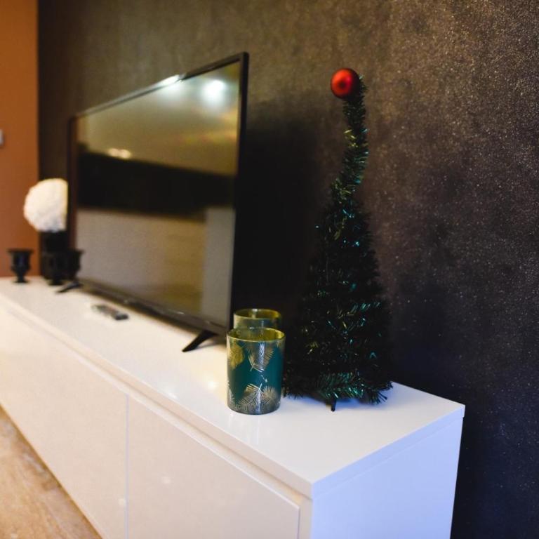 Viking Gold 2 - One-Bedroom Apartment - 36