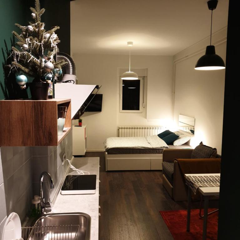 Studio Apartment "Savski Trg" - Studio - 6