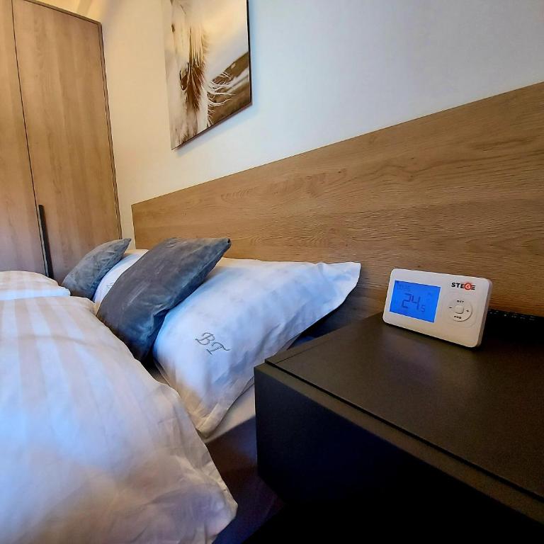 SNJEŽNA ČAROLIJA lux - Apartman sa 1 Spavaćom Sobom - 13