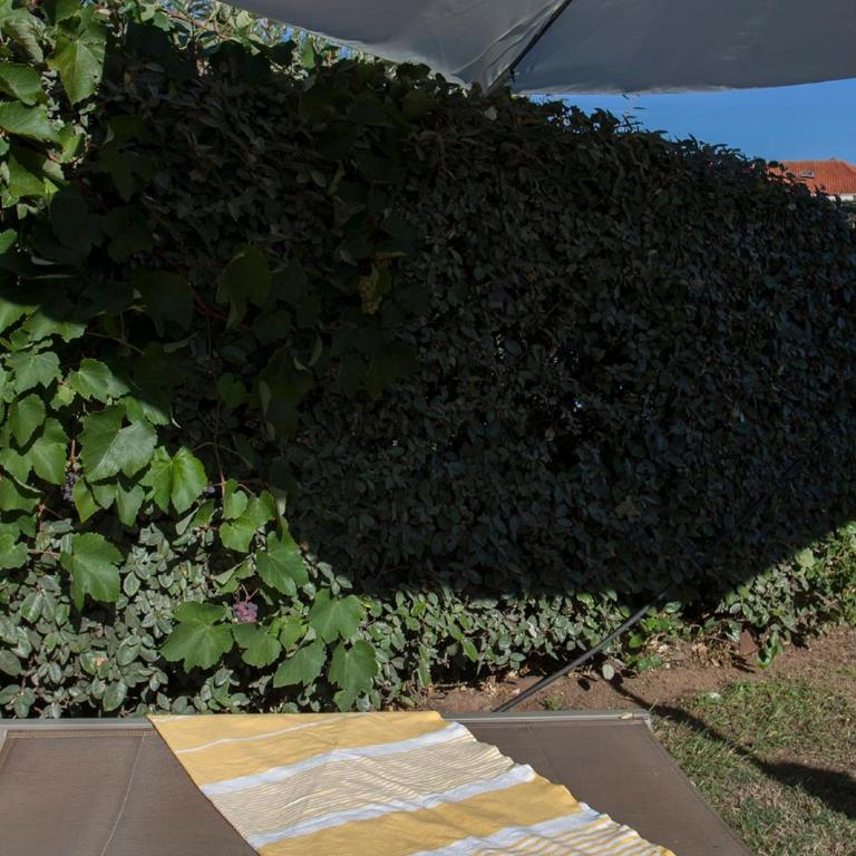Mare appart avec jardin et bbq vue mer et montagne plage et port à 2 pas - Appartement - 64