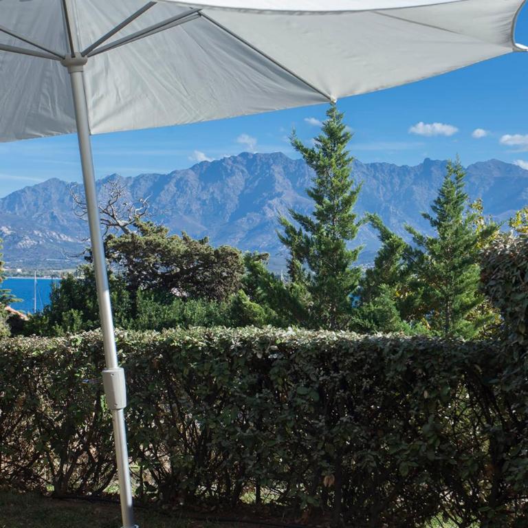 Mare appart avec jardin et bbq vue mer et montagne plage et port à 2 pas - Appartement - 65