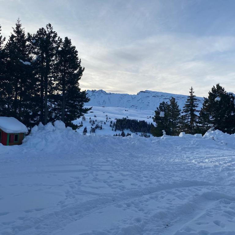 Appartamento Alpe di Siusi - Monolocale - 5