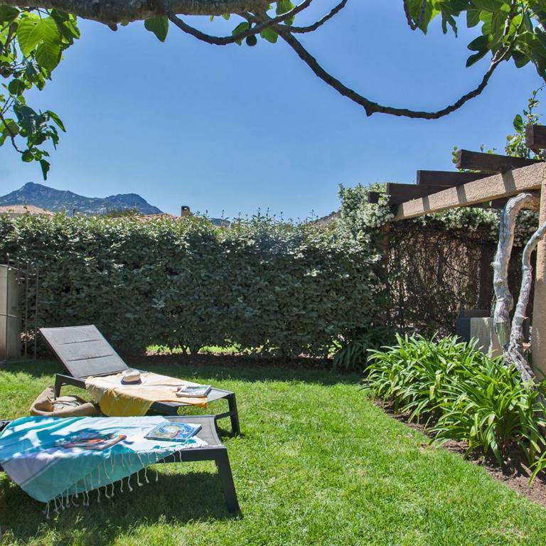 maison kiwi avec piscine chauffée terrasse jardin et bbq à Calvi - Villa - 8