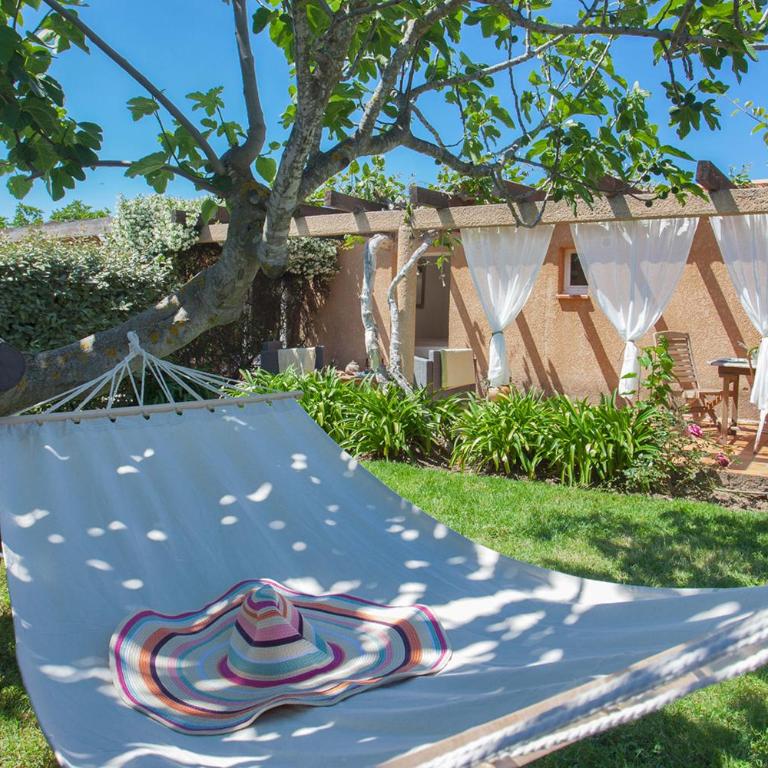 maison kiwi avec piscine chauffée terrasse jardin et bbq à Calvi - Villa - 2