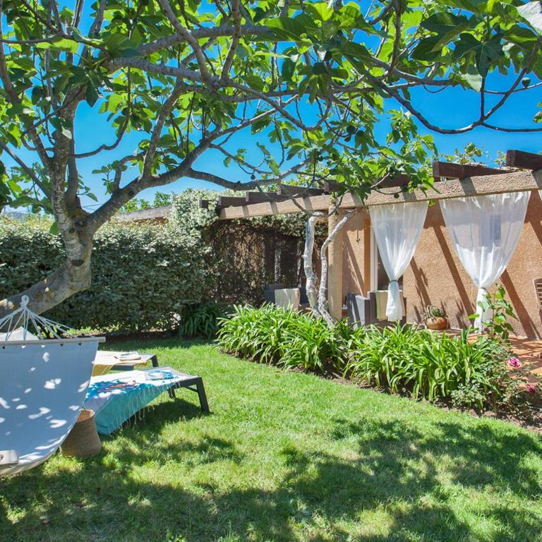 maison kiwi avec piscine chauffée terrasse jardin et bbq à Calvi - Villa - 1