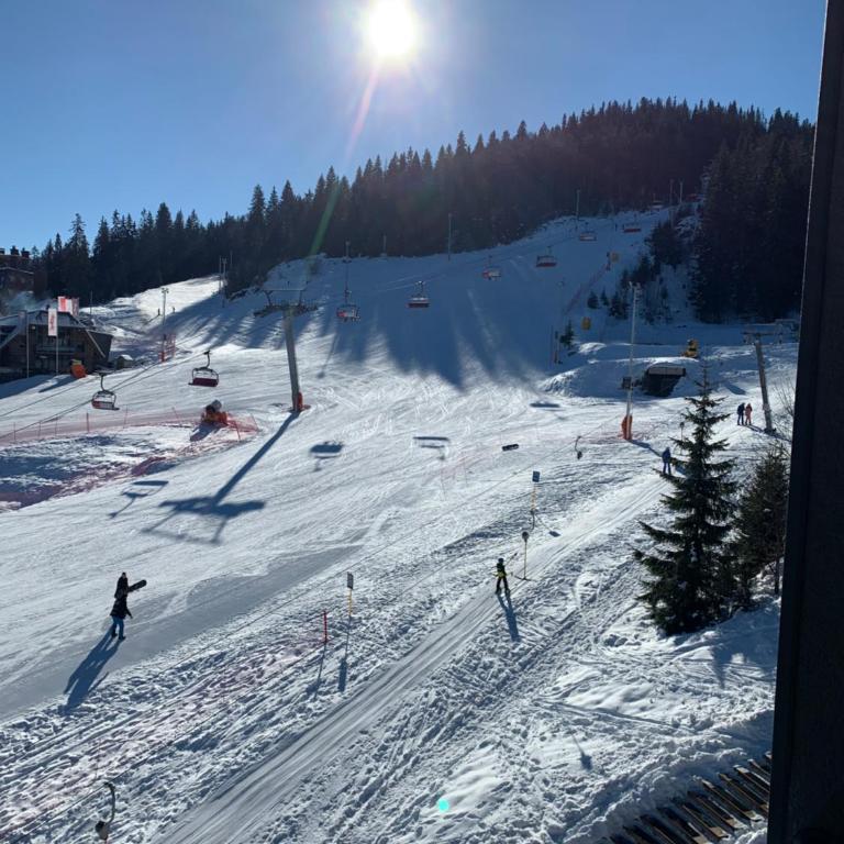 FROST Apartman Jahorina - Apartman sa 1 Spavaćom Sobom - 7