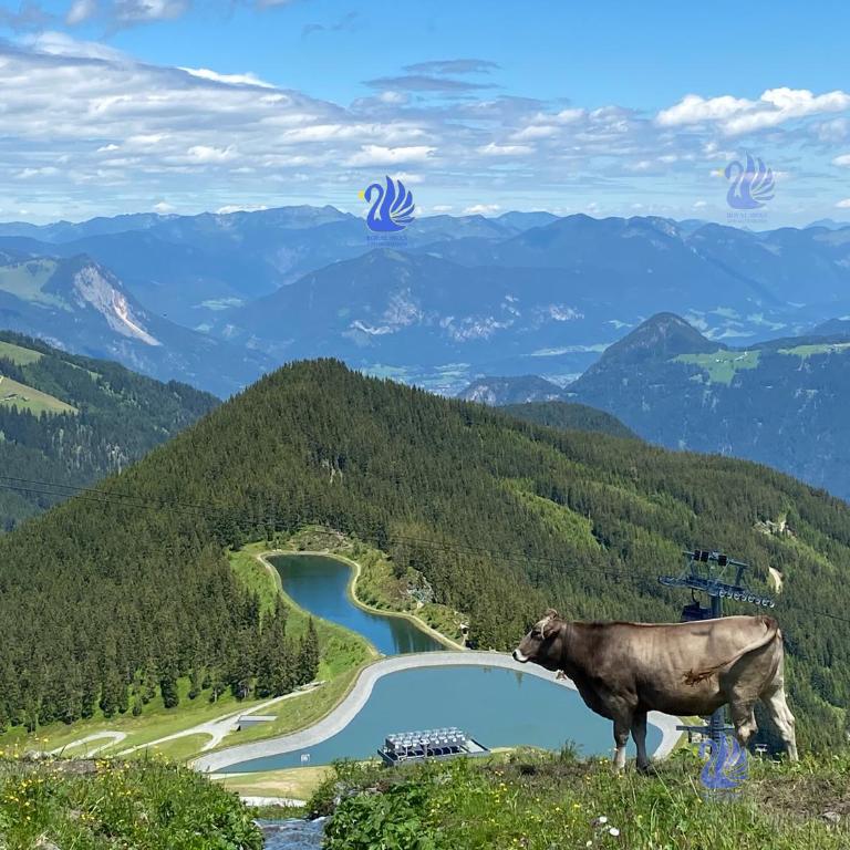 Royal Swan Appartement, Tirol - Superior Chalet - 7