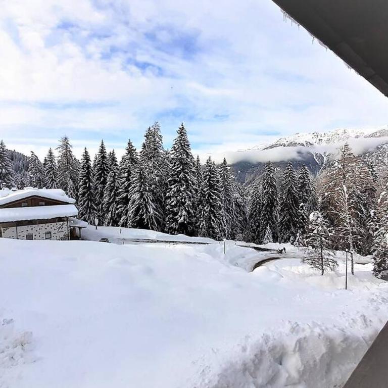Dream House Quadrifoglio. Sulle piste di Folgarida,madonna di campiglio. - Apartment - 29
