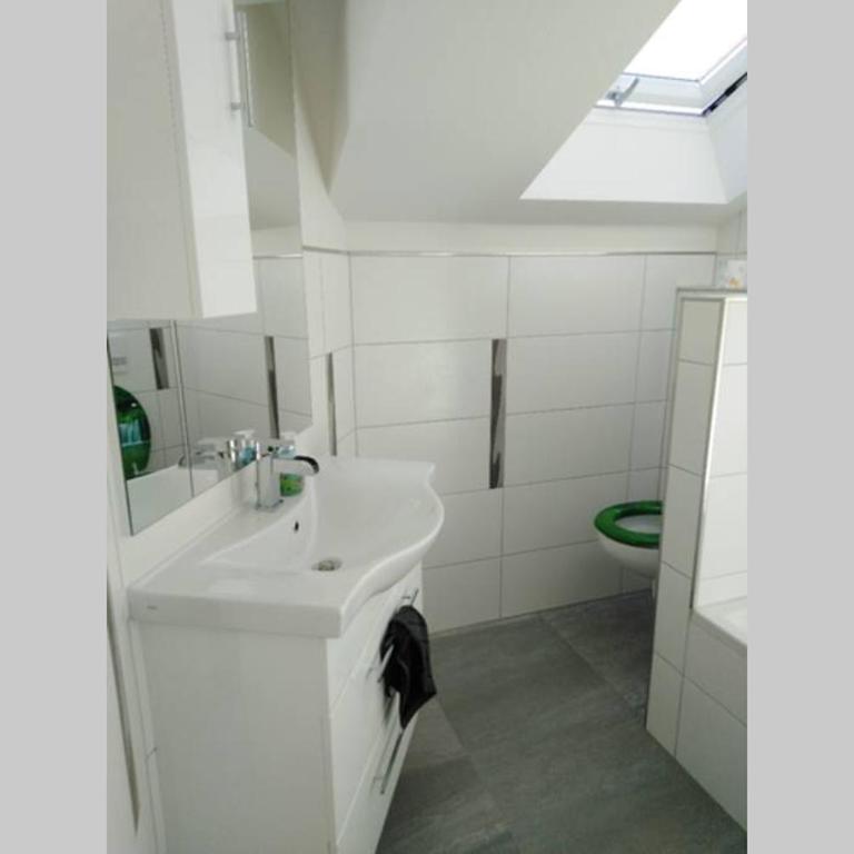 Komplette Dachwohnung mit Balkon und Bergblick - Apartment mit 1 Schlafzimmer - 14