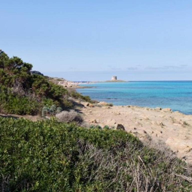 STINTINO VILLA TURCHESE SARDINIA - Villa - 17