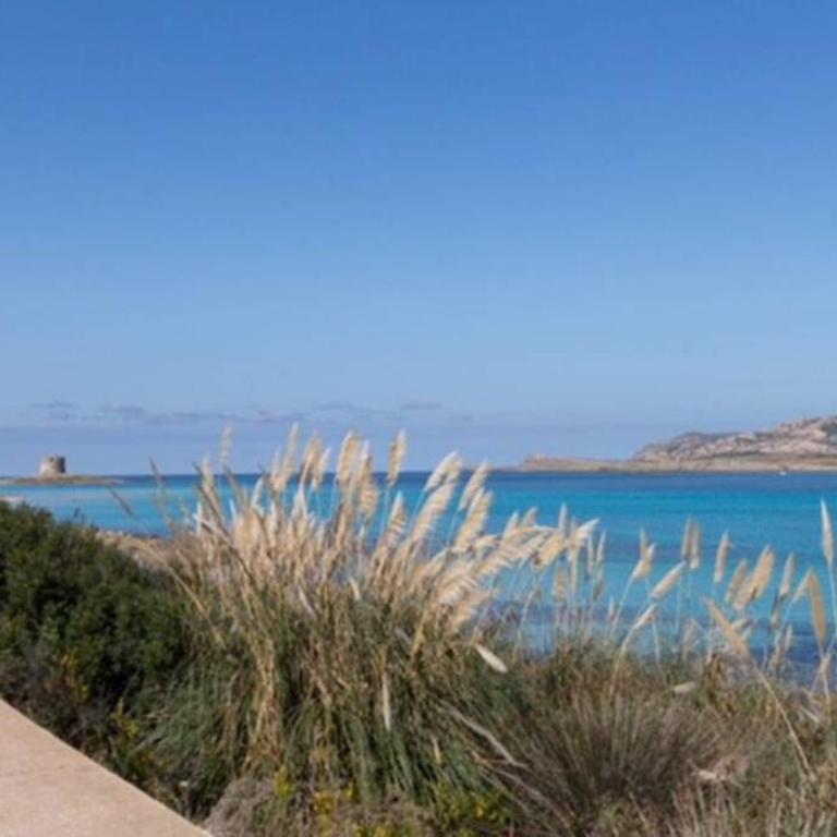 STINTINO VILLA TURCHESE SARDINIA - Villa - 22