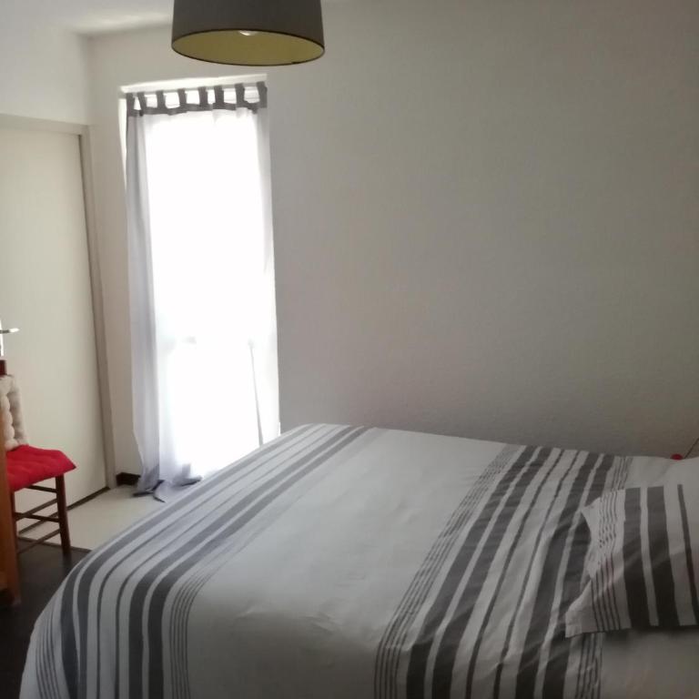 Grand F3 terrasse, vue - Appartement - 5