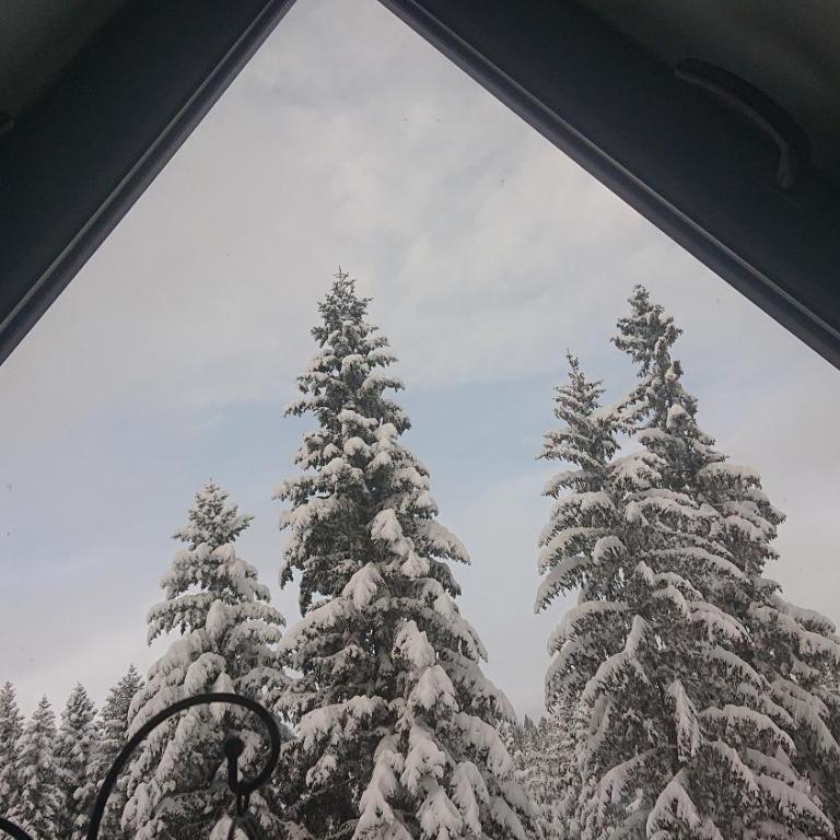 House Apartments Jahorinko - Apartment - 2