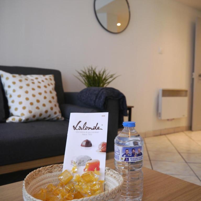 Les Cosy de Nancy - Le repère du roi stanislas 4étoiles - Appartement Supérieur - 3